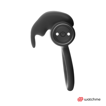 BLACK&SILVER - DelighToys Black & Silver Remote Control Ring by Burton