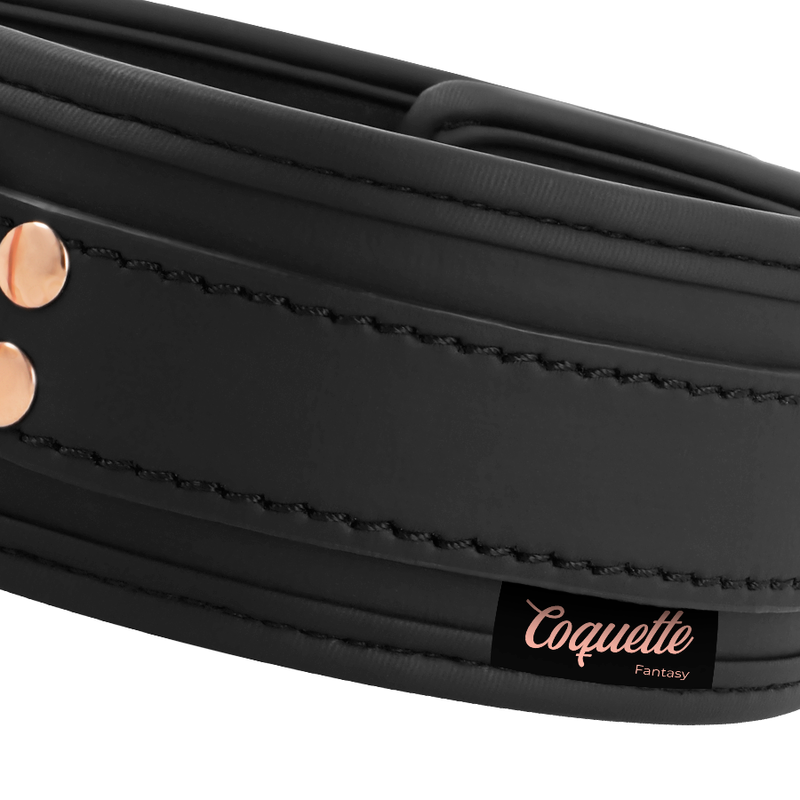 COQUETTE CHIC DESIRE - Vegan Leather Fantasy Necklace with Neoprene