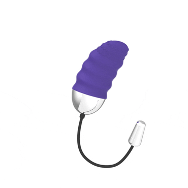 Mr Boss Denis Remote Control Rechargeable Vibrating Egg – Vibrators – product photo 2