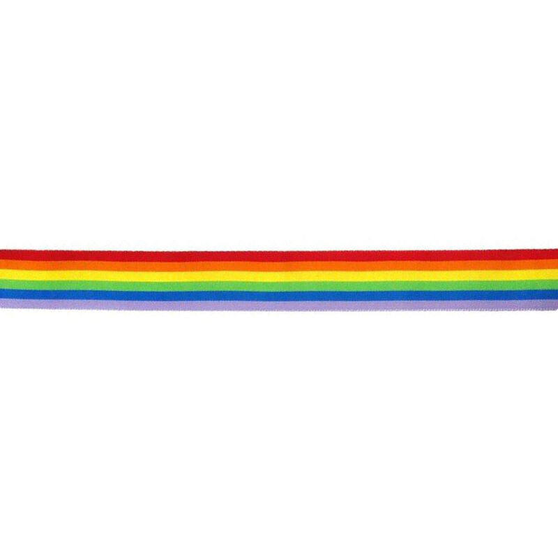 DelighToys - Pride – LGBT Flag Strip by DelighToys