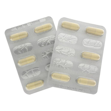 Hot Exxtreme Libido Capsules for Women with Muira Puama – Intimate Wellness – product photo 2
