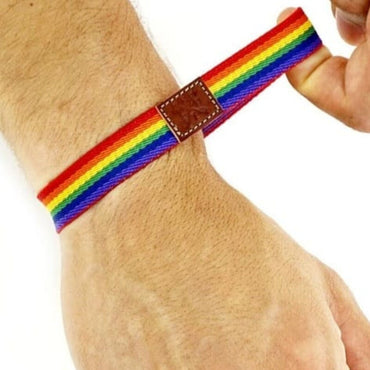 DelighToys - Luxury Adjustable Pride Rubber Bracelet