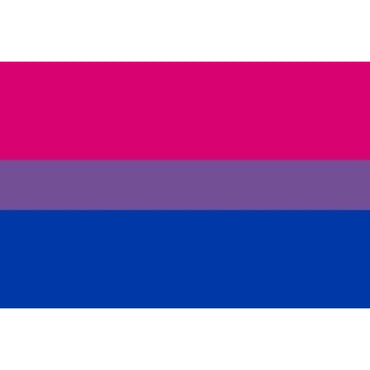 Pride - Bisexual Flag Bracelet 90 X 150