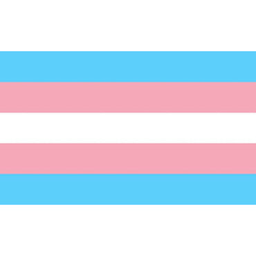 Pride - Transexual Flag 90 X 150
