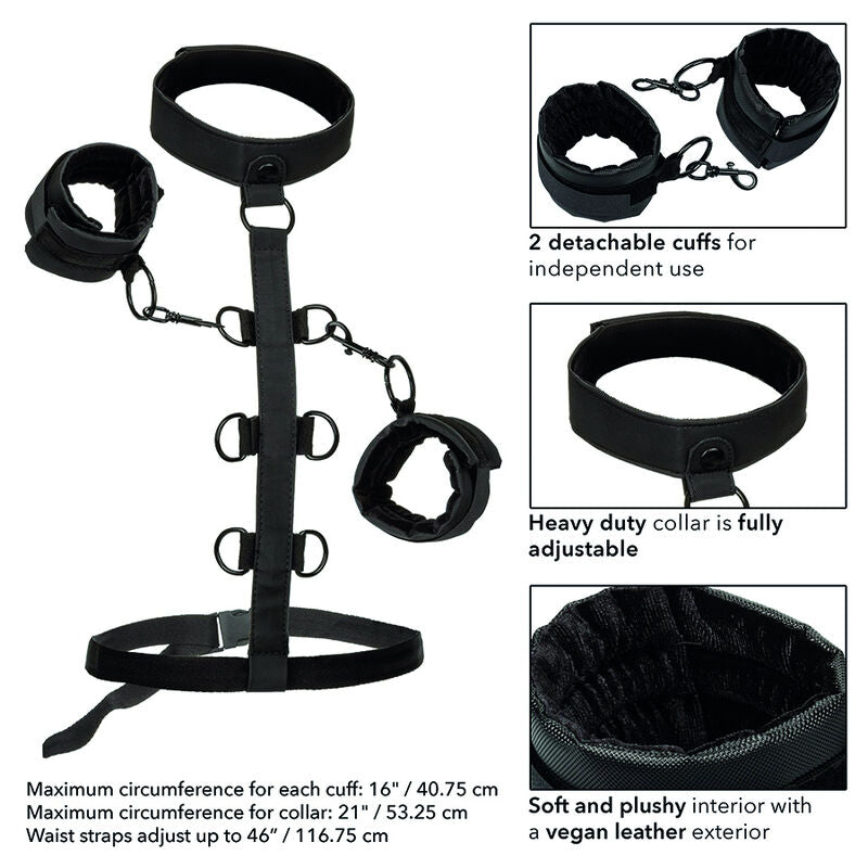 DelighToys - California Exotics Boundless Collar Body Restraint