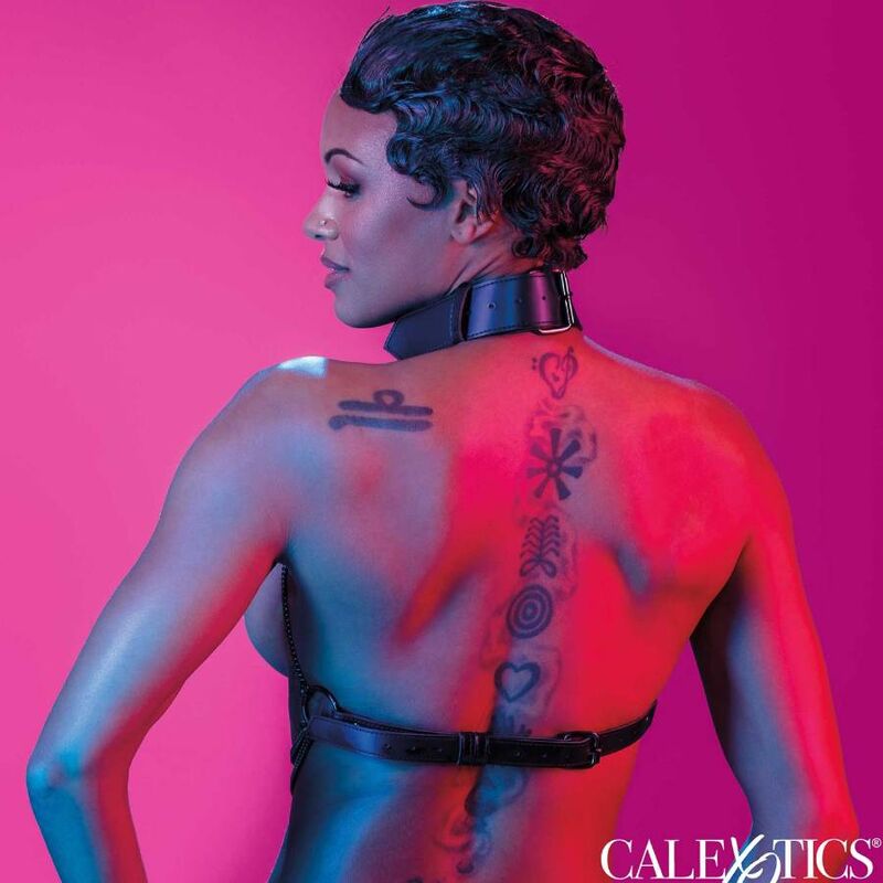 DelighToys - California Exotics – Euphoria Multi Chain Collar Harness by DelighToys