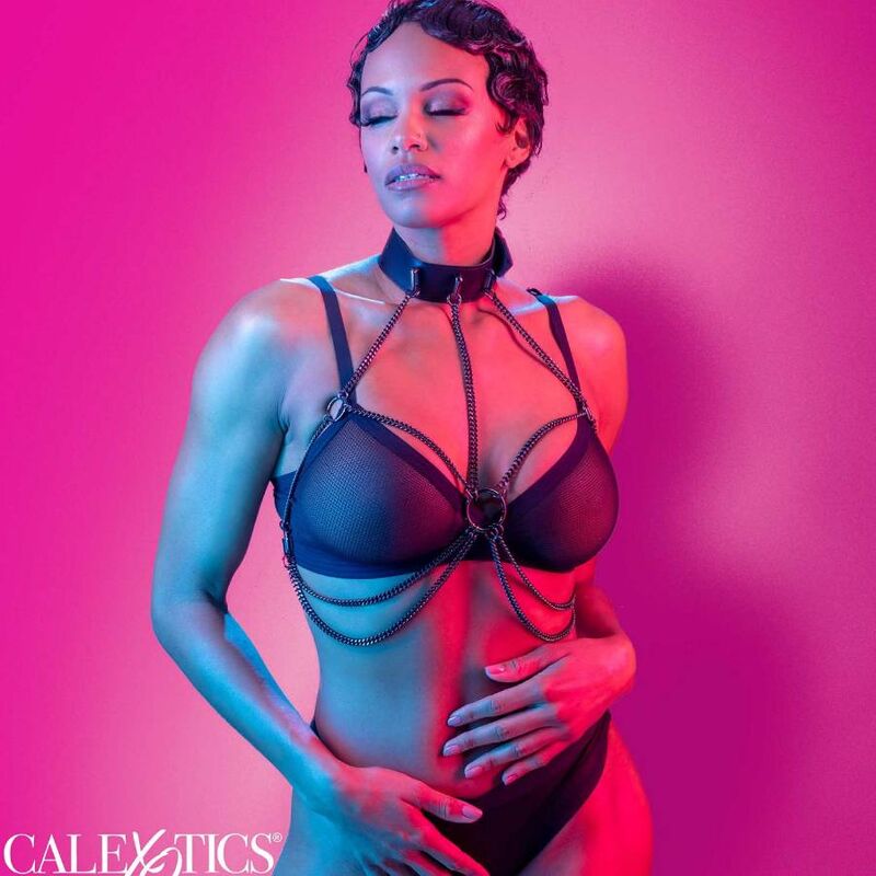 DelighToys - California Exotics – Euphoria Multi Chain Collar Harness by DelighToys