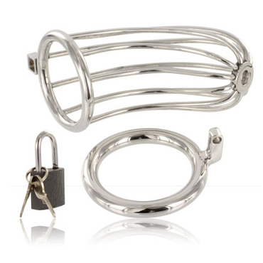 METAL HARD - Stainless Steel Bird Chastity Ring Cage by DelighToys
