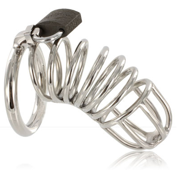 METAL HARD - DelighToys Metal Hard Cage Ring Chastity Device