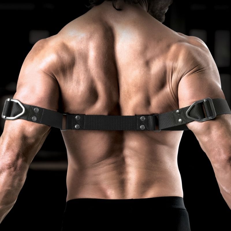 SIR RICHARDS - Command Heavy – Duty Bicep Binder