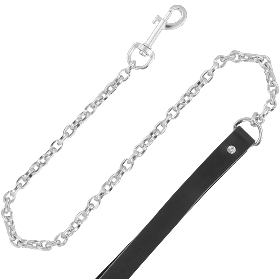 DARKNESS - Premium Leather Posture Collar Leash by DelighToys