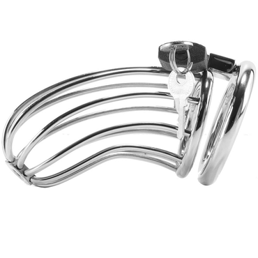METAL HARD - Stainless Steel Bird Chastity Ring Cage by DelighToys