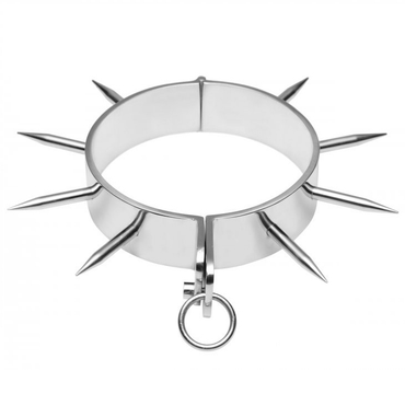 METAL HARD - Steel Collar Lock and Attachment Ring