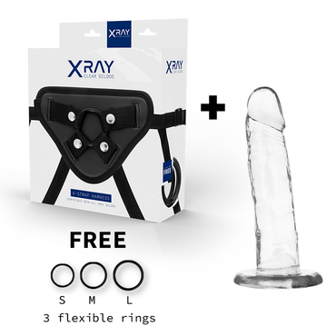 X Ray - Harness + Clear Cock 18 Cm -O- 4 Cm