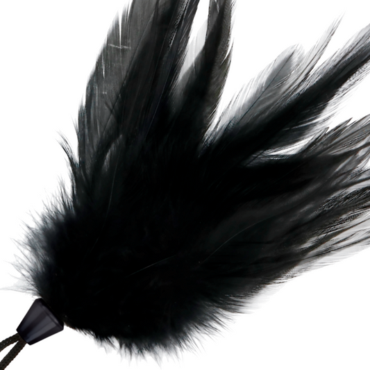 Black feather tickler for exploring erogenous zones with light, gentle touch