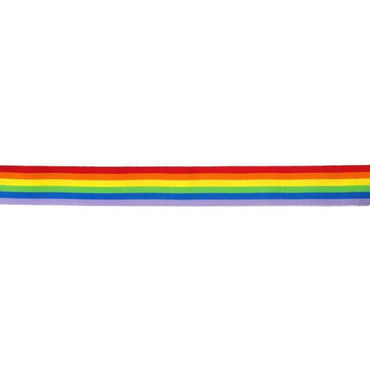 DelighToys - Pride – LGBT Flag Strip by DelighToys