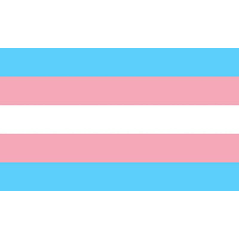 Pride - Transexual Flag 90 X 150