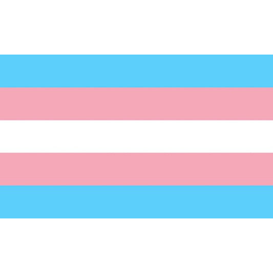 Pride - Transexual Flag 90 X 150