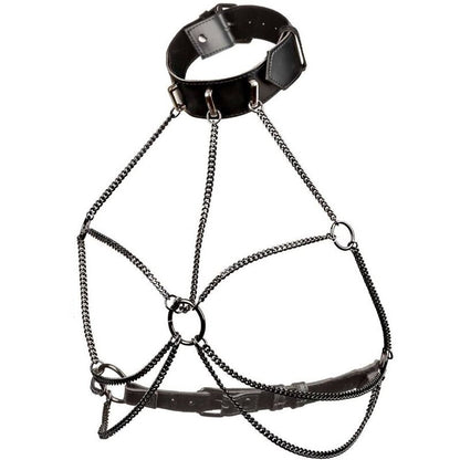 California Exotics - Euphoria Plus Size Multi Chain Collar Harness