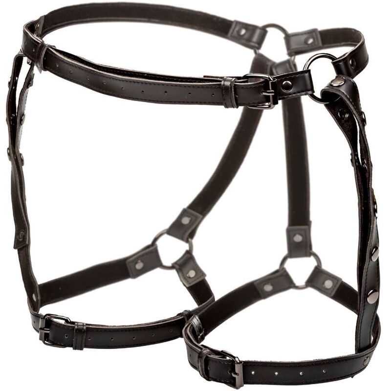 California Exotics - Euphoria Riding Thigh Harness