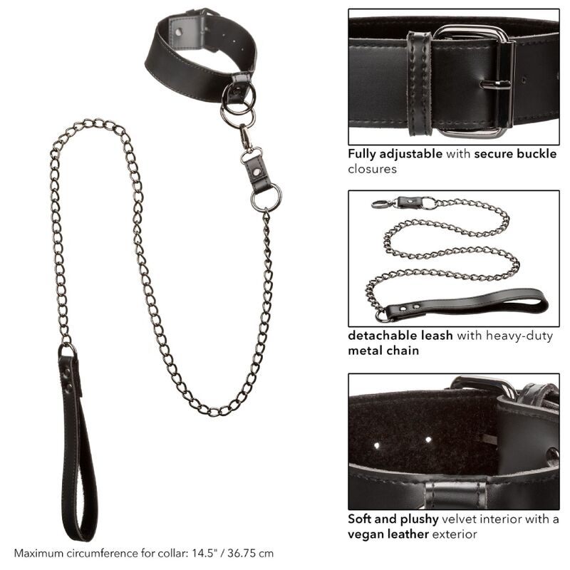 California Exotics - Euphoria Collar With Chain Leash