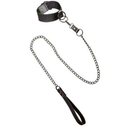 California Exotics - Euphoria Collar With Chain Leash