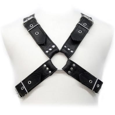 Leather Body - Buckles Harness