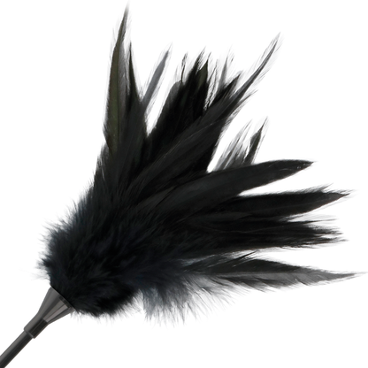 Darkness - Black Feather Whip