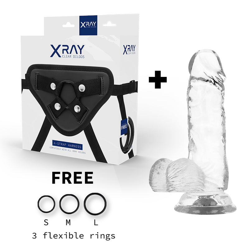 X Ray - Harness + Clear Cock With Balls 15.5 Cm -O- 3.5 Cm