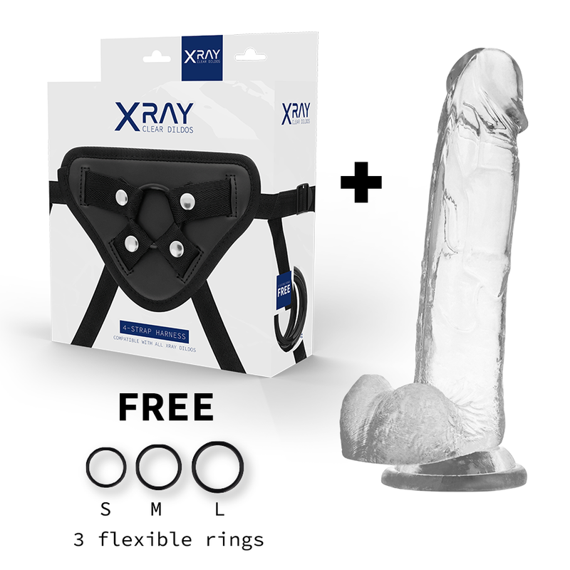 X Ray - Harness + Cock With Balls 22 Cm -O- 4.6 Cm