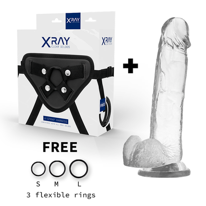 X Ray - Harness + Cock With Balls 22 Cm -O- 4.6 Cm