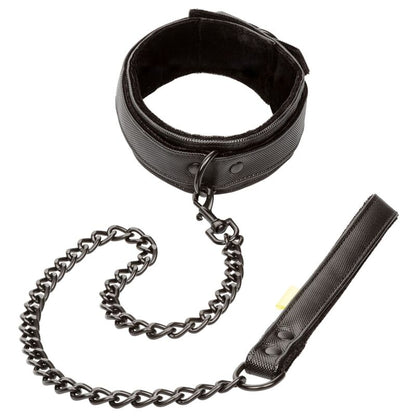 CalExotics Boundless Collar Leash features plush lining, vegan leather, detachable chain leash, and secure buckle for stylish, functional, body-safe restraint play.14